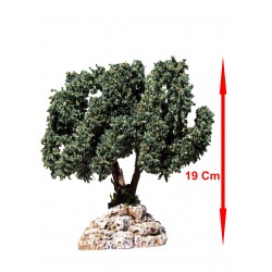 Arbre olivier avec olives N°3
