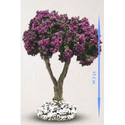Arbre Fleuri Lilas N°3