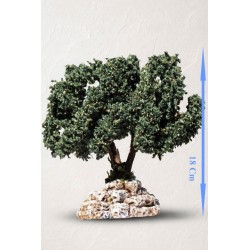 Arbre olivier avec olives N°4