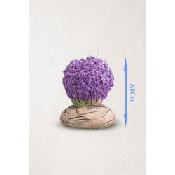 Boule de Lavande