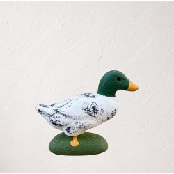 Canard