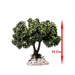 Arbre Pommier N°3