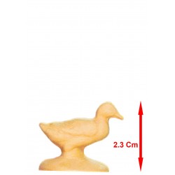 Canard