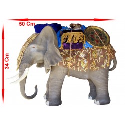 Éléphant + charge